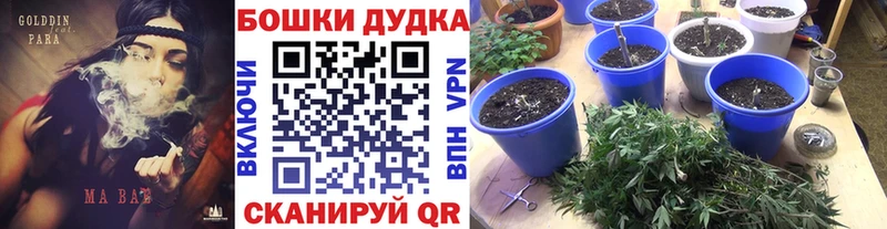 Бошки Шишки ГИДРОПОН Пошехонье